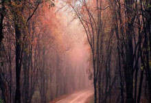 南宫28官网：[高尔夫]美国女子公开赛资格赛场地公布 26场资格赛开启报名.