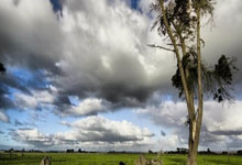 南宫28官网:单板滑雪——全国残特奥会:坡面回转比赛赛况.