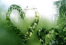 ATP1000迈阿密站决赛：德约科维奇0-2不敌19岁小将门希克，无缘生涯第100冠.