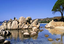 范尼：我们不能也不会放弃保级；双方的效率和质量存在差异.